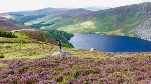 Wicklow Mountains