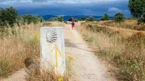 Camino Frances