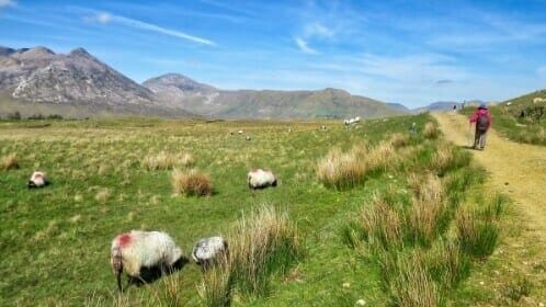 Connemara & Het westen van Ierland