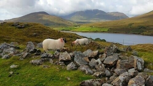 Connemara & Het westen van Ierland
