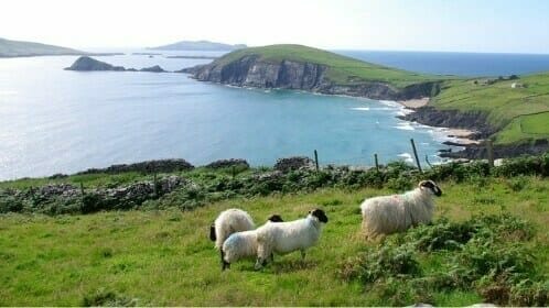 Dingle Way