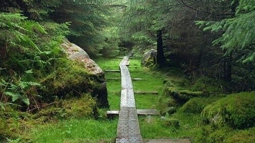 Wicklow Mountains