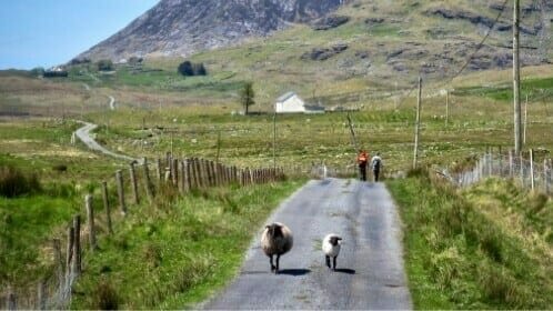 Connemara & Het westen van Ierland