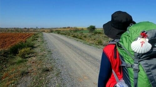 Camino Frances