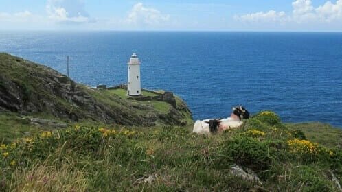 Beara Way