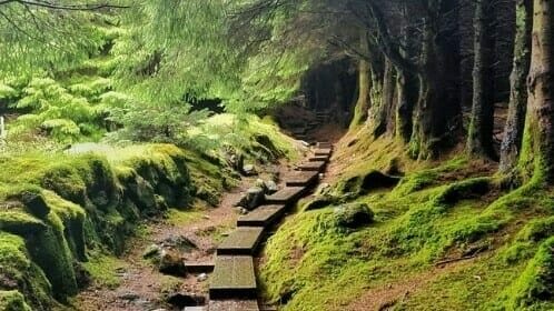 Wicklow Mountains