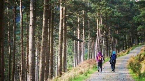 Wicklow Mountains