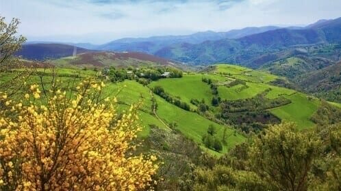 Camino Frances