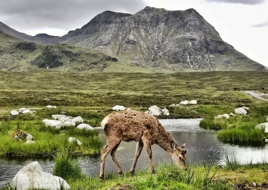 Ons verhaal - Hillwalk Tours