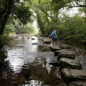 Kerry Camino
