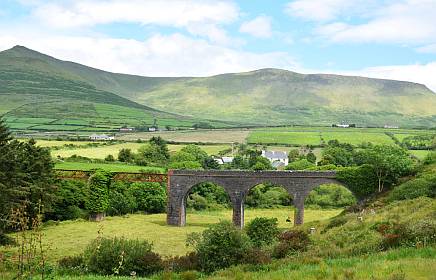 Kerry Camino