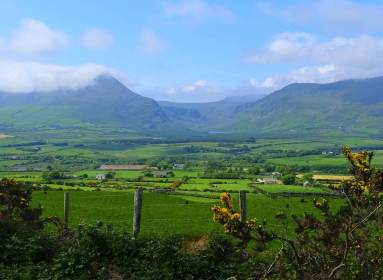 Kerry Camino