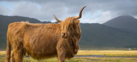 Europese wandelroutes langs filmlocaties mooie wandeltochten monty python schotse hooglanden