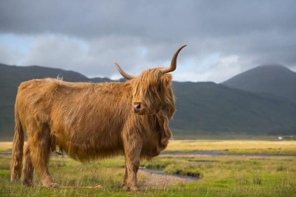 Europese wandelroutes langs filmlocaties mooie wandeltochten monty python schotse hooglanden