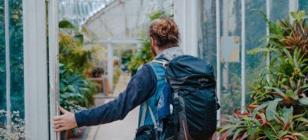 belfast top 10 bezienswaardigheden botanische tuinen