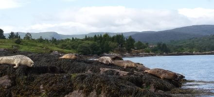 ierse landschappen west-cork beara way glengarriff