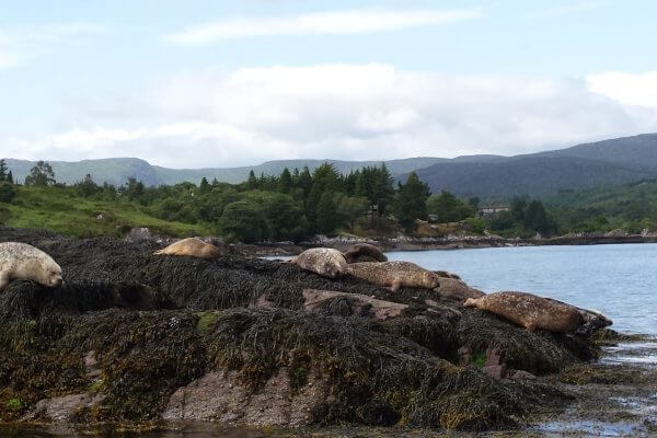 ierse landschappen west-cork beara way glengarriff