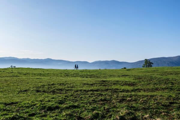 pelgrimstocht verschillen lange wandeling camino frances samen