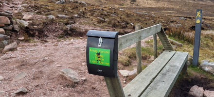 Kerry Camino