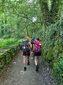 Camino Portugues (Traditionele Central Route)