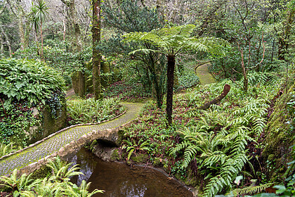 Lissabon & in het Natuurpark Sintra-Cascais