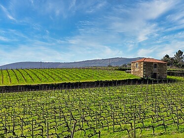 Porto & Douro-vallei (Iconische Wandelroutes)