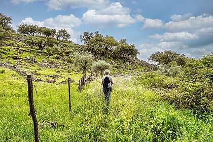 Porto & Douro-vallei (Iconische Wandelroutes)