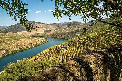 Porto & Douro-vallei (Iconische Wandelroutes)