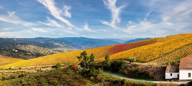 Porto & Douro-vallei (Iconische Wandelroutes)