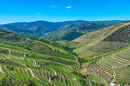 Porto & Douro-vallei (Iconische Wandelroutes)