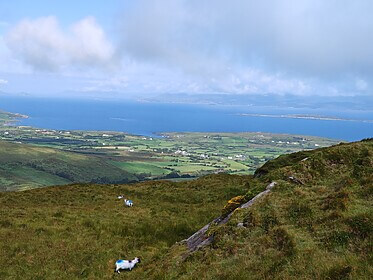 Beara Way