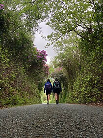Beara Way