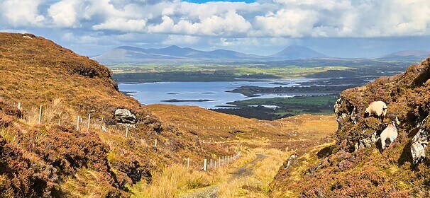 Connemara & Het westen van Ierland