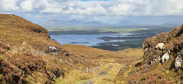 Connemara & Het westen van Ierland