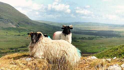 Connemara & Het westen van Ierland