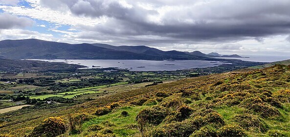 Kerry Way