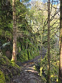 Kerry Way