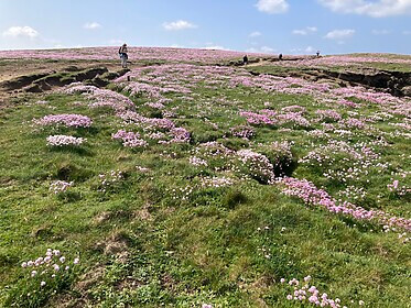 South West Coast Path (Cornwall)