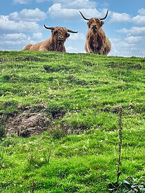 West Highland Way