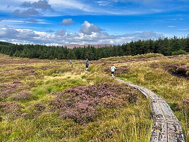 Wicklow Way & Glendalough Wandelroutes