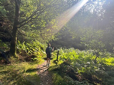 Wicklow Way & Glendalough Wandelroutes