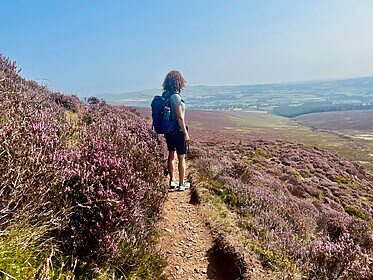 Wicklow Way & Glendalough Wandelroutes