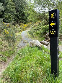 Wicklow Way & Glendalough Wandelroutes