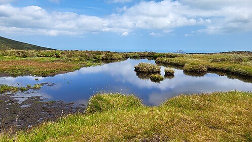 Wicklow Way & Glendalough Wandelroutes