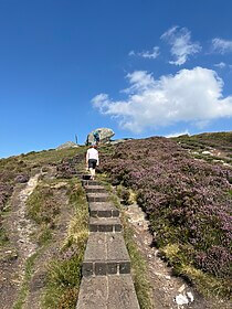 Wicklow Way & Glendalough Wandelroutes