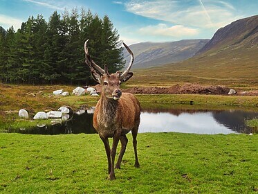 West Highland Way