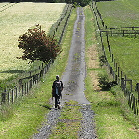 South Downs Way