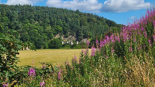 Speyside Way (De Whiskyroute)