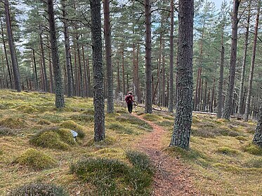 Speyside Way (De Whiskyroute)