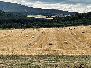 Speyside Way (De Whiskyroute)